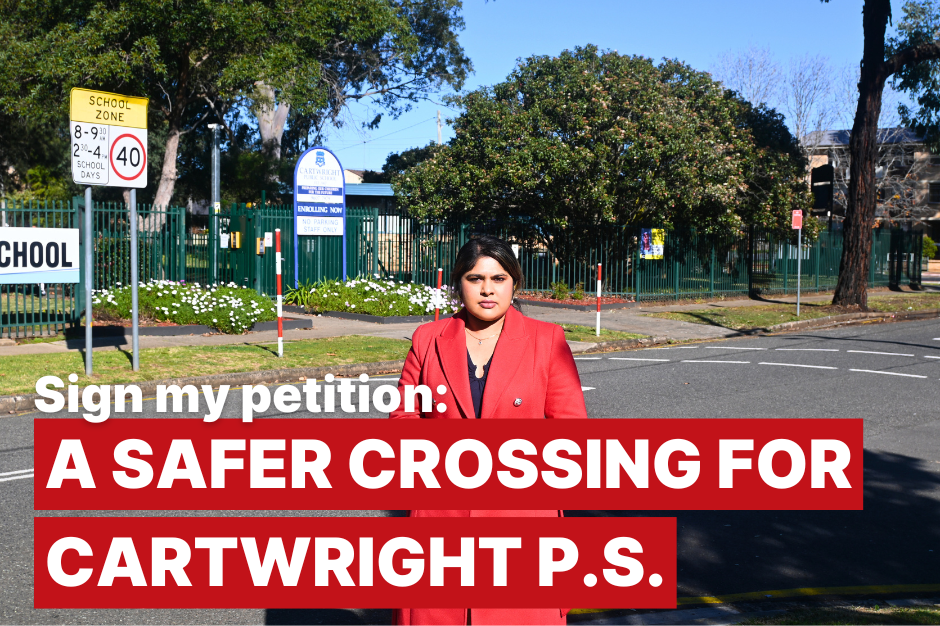 Sign my petition for a safer crossing at Cartwright Public School Main Image